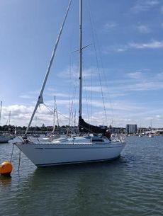 Colvic UFO 31