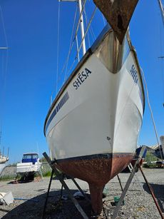 Colvic Countess 33