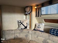 1992 Sea Ray 350 Express Bridge