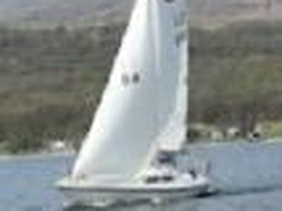 HUNTER DELTA 25 Lifting Keel