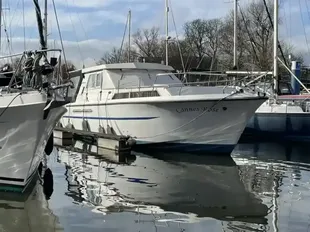 Princess 37 Flybridge