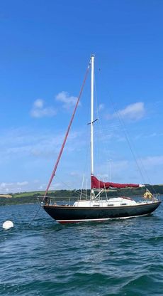 Twister 28