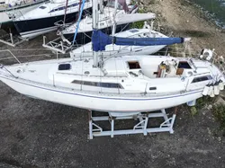 Colvic Craft Victor 35