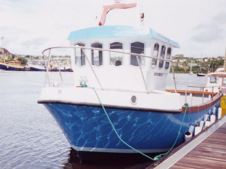 Deltastar Workboat 33