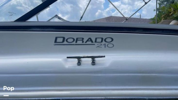 2019 Scout 210 dorado