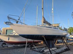 1984 Artekno H 35
