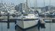 Westerly Sealord 39