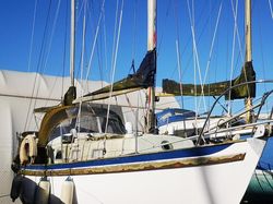 Seadog 30 in N. Ireland