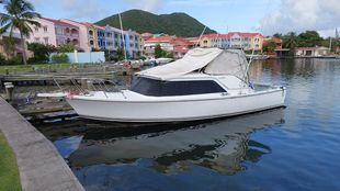 Bertram 31 Sport Fisher