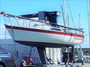 Star Flash 26 for sale with BJ Marine