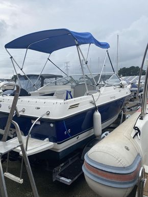 Bimini cover