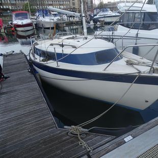  Newbridge Navigator 19