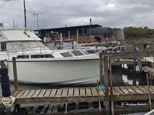 1981 Princess 41
