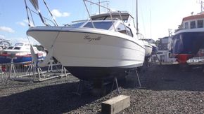 8335121 20220527080312103 1 XLARGE