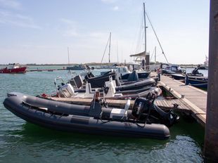 2024 Tiger Marine Dive Master 520