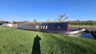 Lichen Lady 69 1/2 ft Traditional 