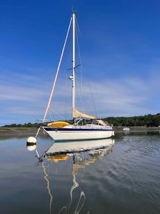 Malo 34 with New Engine