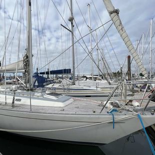 Rustler 36