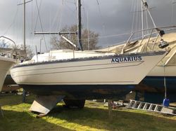 1987 Seawolf 26