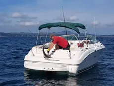 2001 Sea Ray 225 Weekender