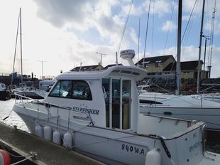 Motor Cruiser STARFISHER 840 WA