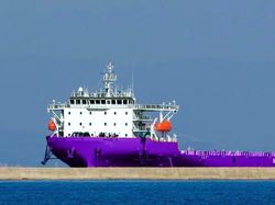 2023 | 140 m | ICE Class | Deck Cargo Ship | For P&C Sale