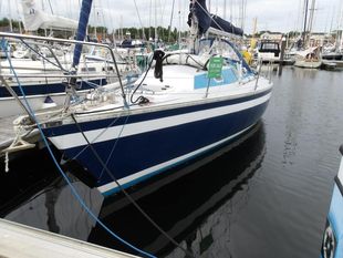 1981 Contessa 34 OOD