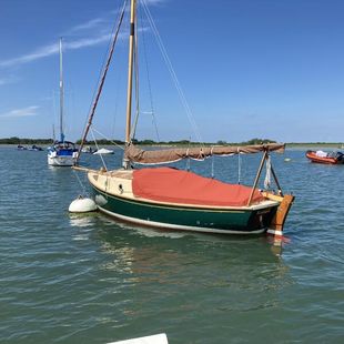 Norfolk Gypsy