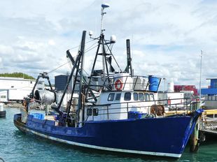 STERN TRAWLER IN GOOD CONDITION FISHING COMMERCIAL