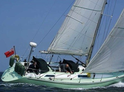 Contessa 39