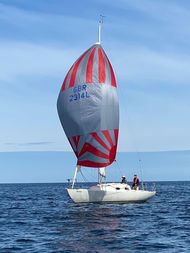 2009 Mystery 30