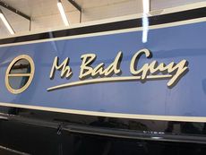 Mr Bad Guy