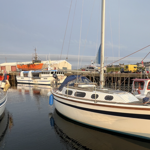 Colvic Countess 28