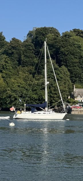 Coco on River Dart
