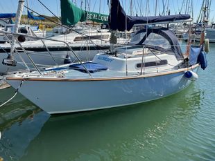 1982 Hurley 22R