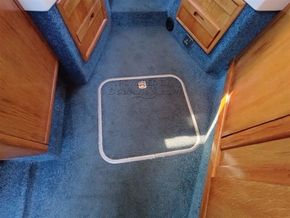 Sealine 290 Ambassador  - Floors