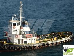 30m / 15ts BP Tug for Sale / #1000431