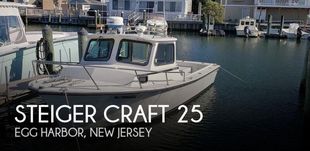 1996 Steiger Craft 25 Chesapeake
