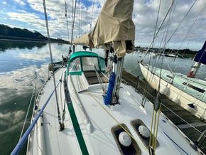 IMG 9931