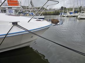 Birchwood 360 Challenger FLYBRIDGE - Bow