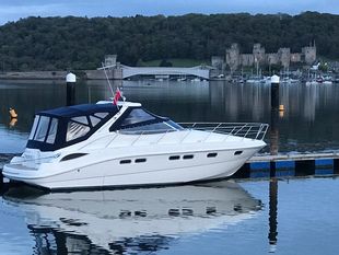 Sealine S42 (Excellent Condition)