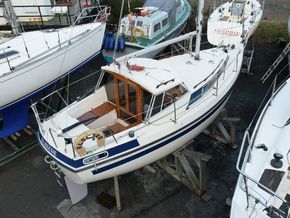 Mascot 28 