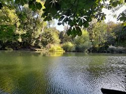 Riverside Land and Moorings, Staines upon Thames,