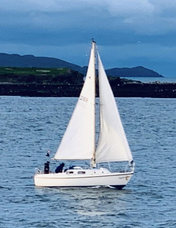 WESTERLY TIGER + YARD TRAILER + DINGHY