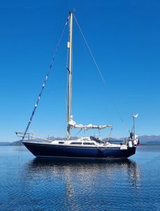 Varne 27 Sailing Yacht